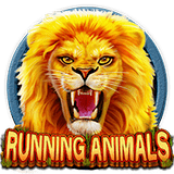 RTP CQ9  betplay138